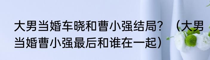 大男当婚车晓和曹小强结局？（大男当婚曹小强最后和谁在一起）