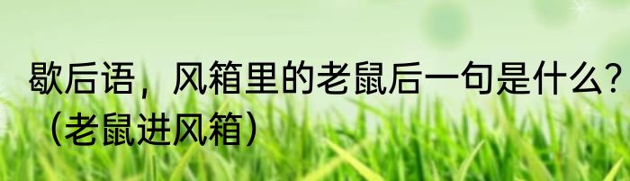 歇后语，风箱里的老鼠后一句是什么？（老鼠进风箱）