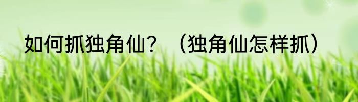 如何抓独角仙？（独角仙怎样抓）