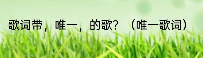 歌词带，唯一，的歌？（唯一歌词）