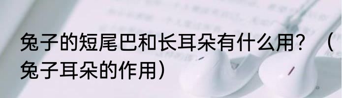 兔子的短尾巴和长耳朵有什么用？（兔子耳朵的作用）