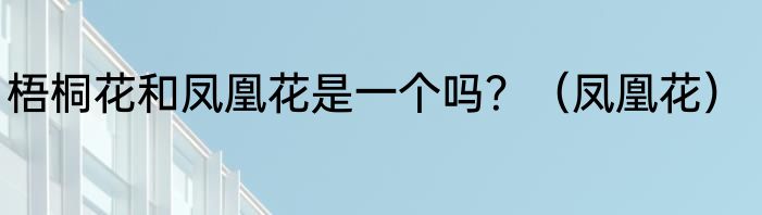梧桐花和凤凰花是一个吗？（凤凰花）