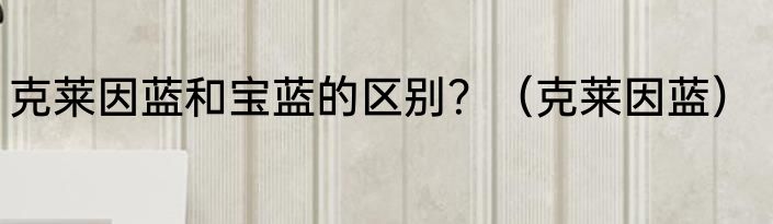 克莱因蓝和宝蓝的区别？（克莱因蓝）