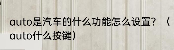 auto是汽车的什么功能怎么设置？（auto什么按键）