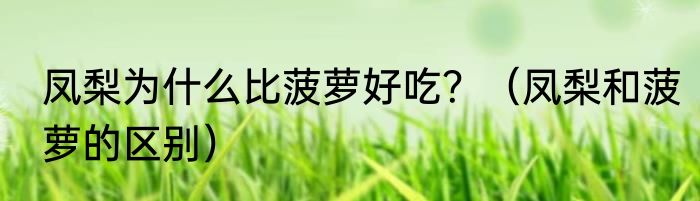 凤梨为什么比菠萝好吃？（凤梨和菠萝的区别）