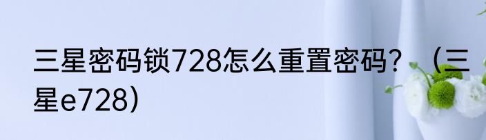三星密码锁728怎么重置密码？（三星e728）