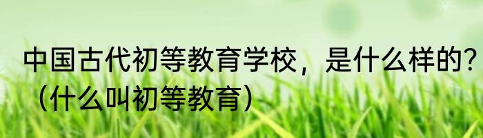 中国古代初等教育学校，是什么样的？（什么叫初等教育）