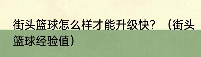 街头篮球怎么样才能升级快？（街头篮球经验值）