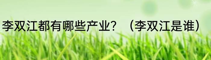 李双江都有哪些产业？（李双江是谁）