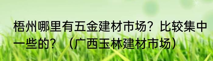 梧州哪里有五金建材市场？比较集中一些的？（广西玉林建材市场）
