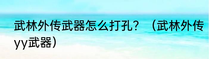 武林外传武器怎么打孔？（武林外传yy武器）