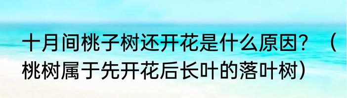 十月间桃子树还开花是什么原因？（桃树属于先开花后长叶的落叶树）