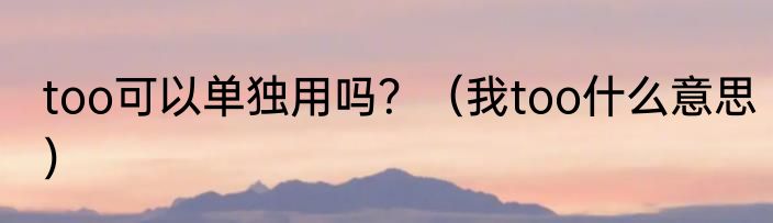 too可以单独用吗？（我too什么意思）