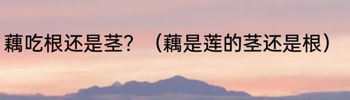 藕吃根还是茎？（藕是莲的茎还是根）