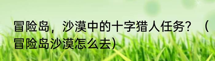 冒险岛，沙漠中的十字猎人任务？（冒险岛沙漠怎么去）