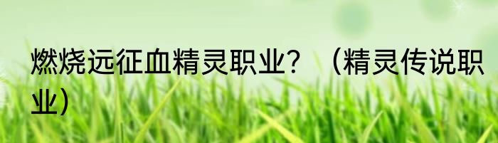 燃烧远征血精灵职业？（精灵传说职业）