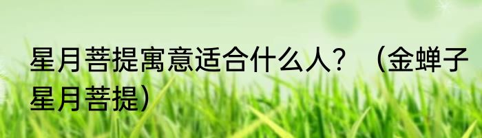 星月菩提寓意适合什么人？（金蝉子星月菩提）