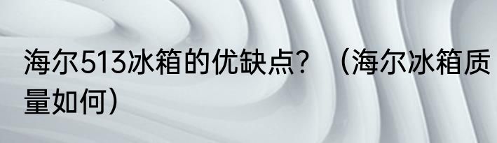 海尔513冰箱的优缺点？（海尔冰箱质量如何）