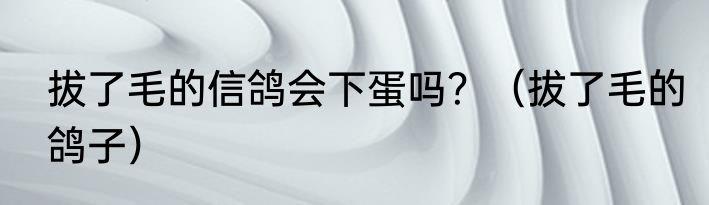 拔了毛的信鸽会下蛋吗？（拔了毛的鸽子）