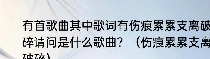 有首歌曲其中歌词有伤痕累累支离破碎请问是什么歌曲？（伤痕累累支离破碎）