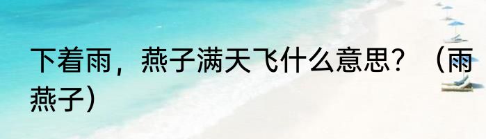 下着雨，燕子满天飞什么意思？（雨燕子）