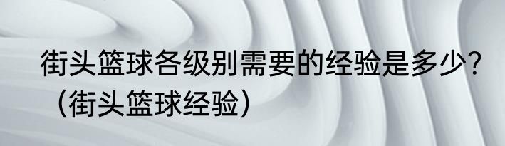 街头篮球各级别需要的经验是多少？（街头篮球经验）