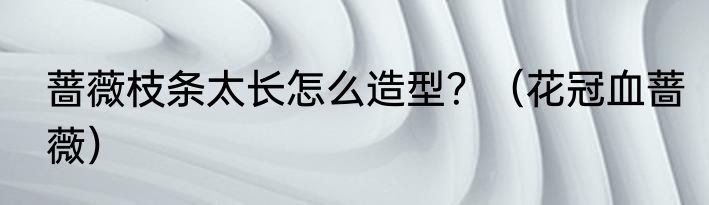 蔷薇枝条太长怎么造型？（花冠血蔷薇）