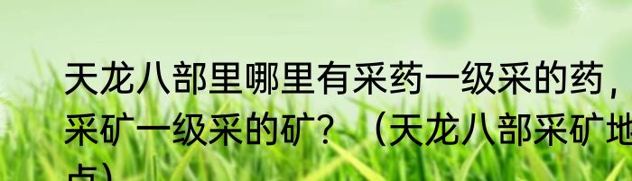 天龙八部里哪里有采药一级采的药，采矿一级采的矿？（天龙八部采矿地点）