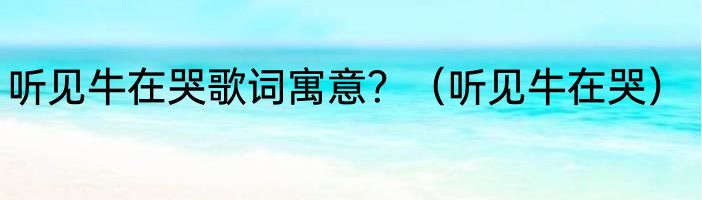 听见牛在哭歌词寓意？（听见牛在哭）