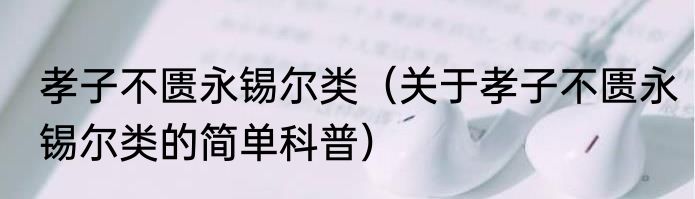 孝子不匮永锡尔类（关于孝子不匮永锡尔类的简单科普）