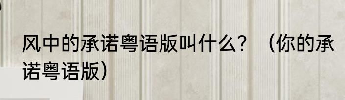 风中的承诺粤语版叫什么？（你的承诺粤语版）