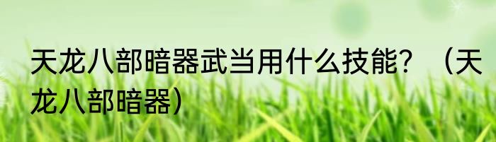 天龙八部暗器武当用什么技能？（天龙八部暗器）