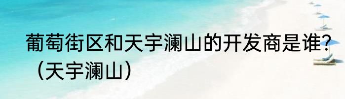 葡萄街区和天宇澜山的开发商是谁？（天宇澜山）
