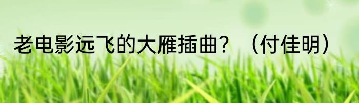 老电影远飞的大雁插曲？（付佳明）