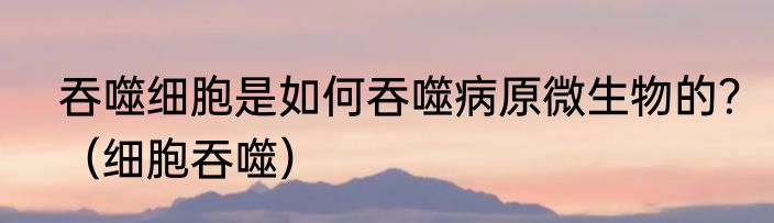吞噬细胞是如何吞噬病原微生物的？（细胞吞噬）
