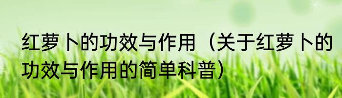 红萝卜的功效与作用（关于红萝卜的功效与作用的简单科普）