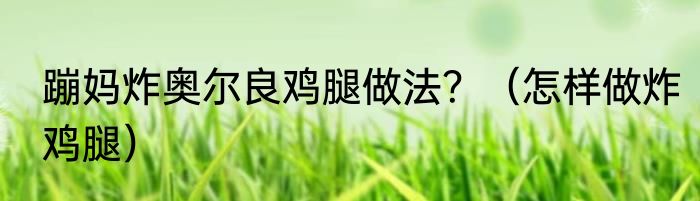 蹦妈炸奥尔良鸡腿做法？（怎样做炸鸡腿）