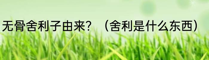 无骨舍利子由来？（舍利是什么东西）