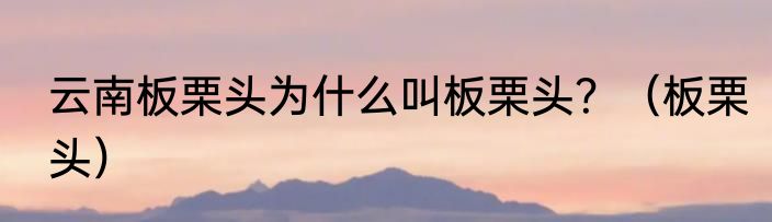 云南板栗头为什么叫板栗头？（板栗头）