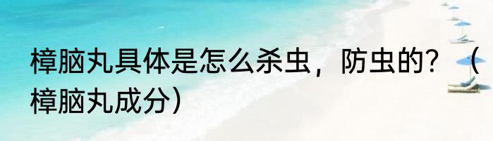 樟脑丸具体是怎么杀虫，防虫的？（樟脑丸成分）