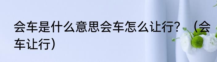 会车是什么意思会车怎么让行？（会车让行）