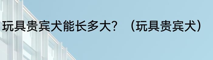 玩具贵宾犬能长多大？（玩具贵宾犬）