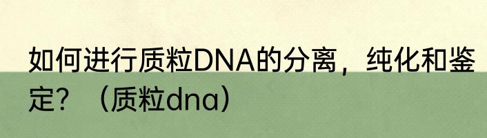如何进行质粒DNA的分离，纯化和鉴定？（质粒dna）