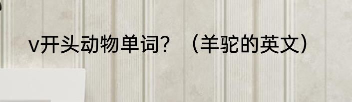 v开头动物单词？（羊驼的英文）