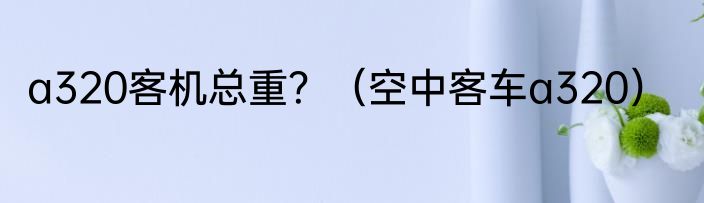 a320客机总重？（空中客车a320）