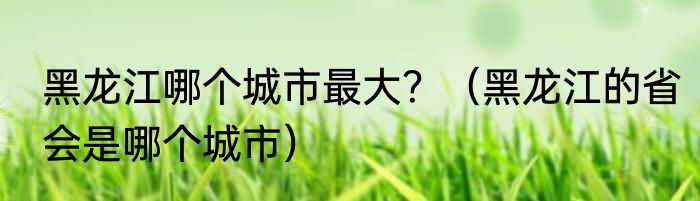 黑龙江哪个城市最大？（黑龙江的省会是哪个城市）
