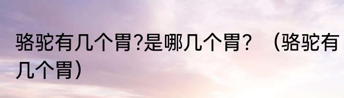 骆驼有几个胃?是哪几个胃？（骆驼有几个胃）