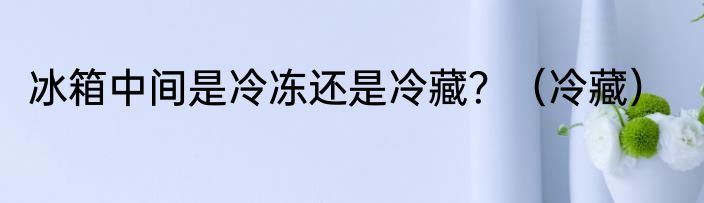 冰箱中间是冷冻还是冷藏？（冷藏）