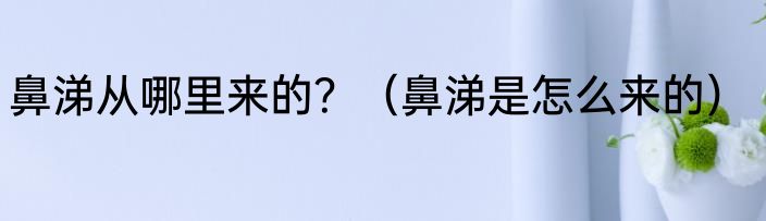 鼻涕从哪里来的？（鼻涕是怎么来的）