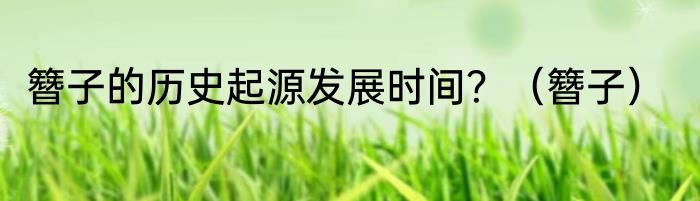 簪子的历史起源发展时间？（簪子）